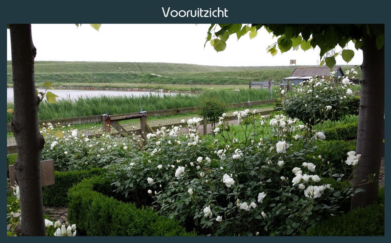Vakantiewoning Deltahof Ellewoutsdijk Dış mekan fotoğraf