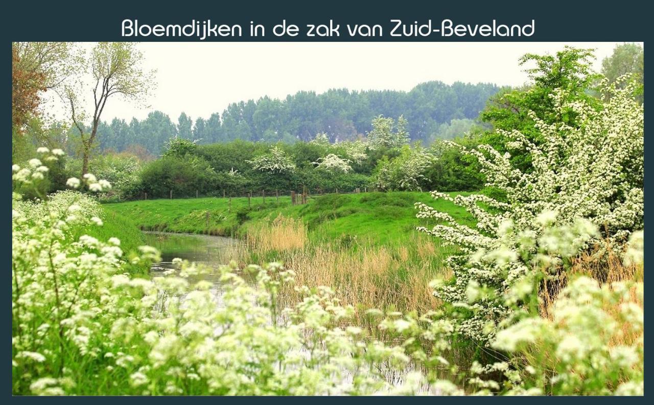 Vakantiewoning Deltahof Ellewoutsdijk Dış mekan fotoğraf