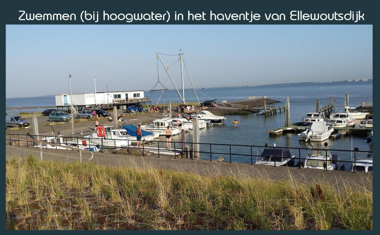 Vakantiewoning Deltahof Ellewoutsdijk Dış mekan fotoğraf